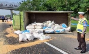 Diseruduk Bus, Truk Muat Jagung Terguling di Tol Porong, Sidoarjo