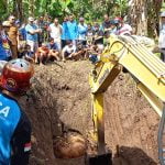 Sapi hamil, Sapi terperosok ke sumur, Mojokerto