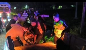 Melaju dengan Kecepatan Tinggi, Pasutri Tewas Kecelakaan di Jombang