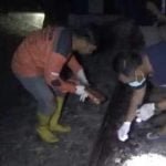 Tabrakan diri, Kereta Api