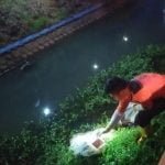 Korban mutilasi, Mayat tanpa kepala
