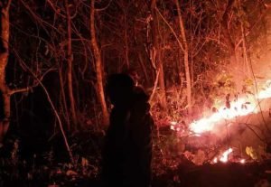 Kebakaran Hebat Terjadi di Hutan Gunung Bungkuk Magetan