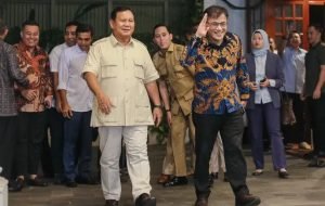 Budiman sudjatmiko, PDIP, Relawan Prabu