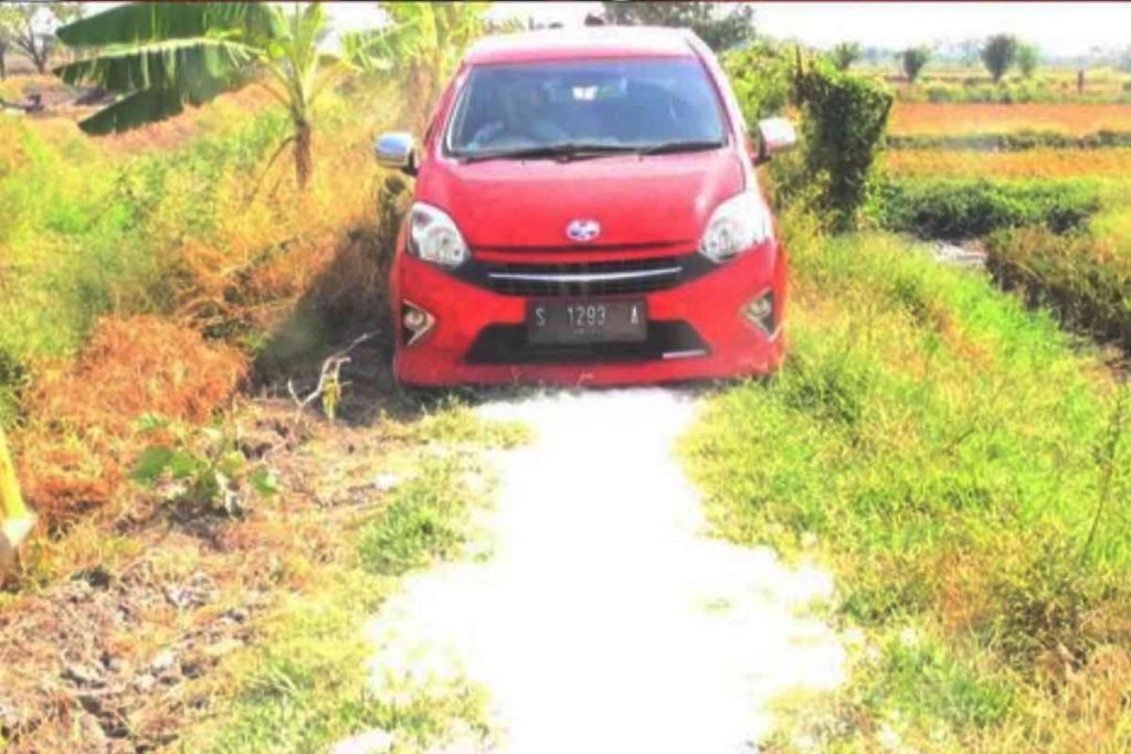 Horor! Ikuti Google Maps Tengah Malam, Pria di Lamongan Tersesat di Tengah Sawah