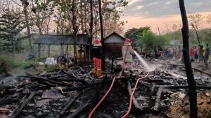 Rumah dan Kandang di Lamongan Ludes Terbakar, 6 Ekor Sapi Ikut Terpanggang