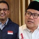 Anies-Muhaimin, Pilpres 2024