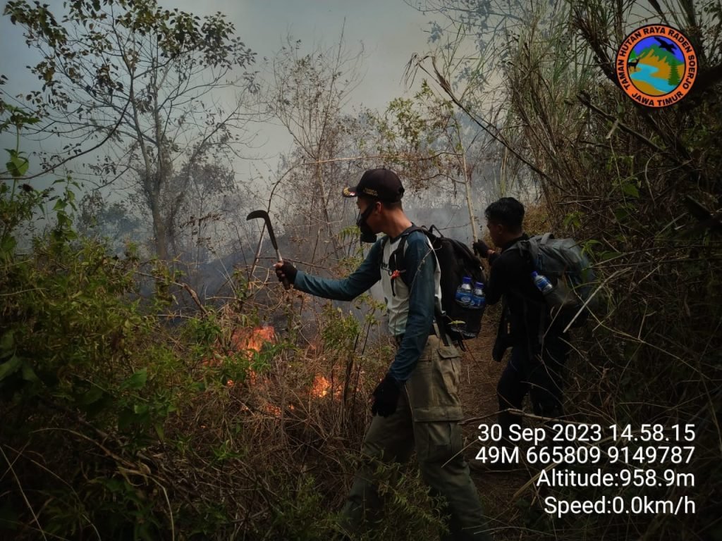 Kebakaran Putuk Kencur Mojokerto, Puluhan Petugas Dikerahkan Padamkan Api