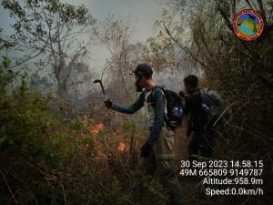 Kebakaran Putuk Kencur Mojokerto, Puluhan Petugas Dikerahkan Padamkan Api