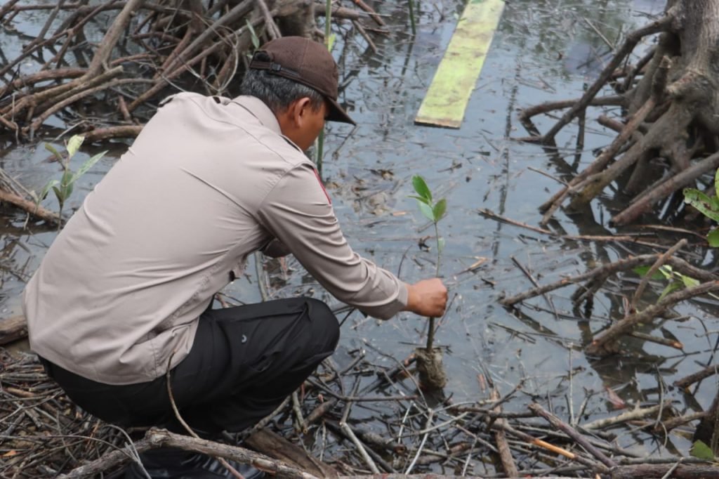 Polda Sumut dan Pemprov Tanam 10 Ribu Pohon Mangrove di Pesisir Langkat