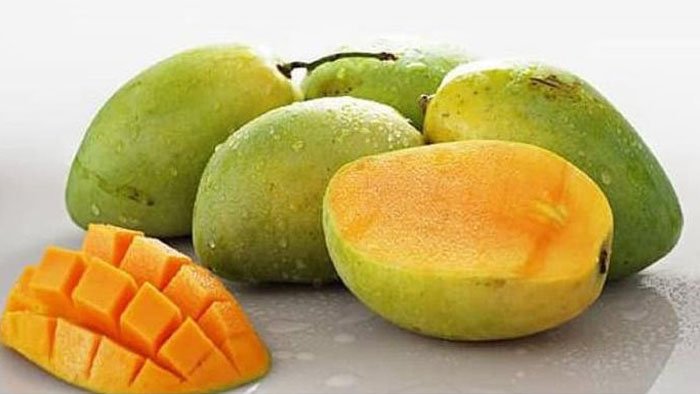 Buah mangga, Gaya hidup
