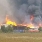 pabrik tisu, Mojokerto, terbakar,