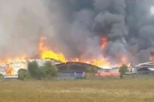 Pabrik Tisu di Mojokerto Ludes Terbakar