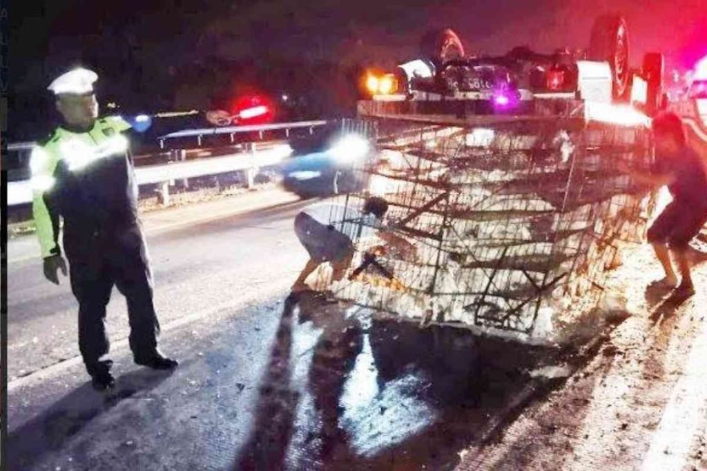 Pecah Ban, Mobil Muat Ayam Terguling di Tol Jomo