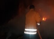 Kebakaran Kandang Ternak di Lamongan Tewaskan 1 Sapi dan 2 Kambing