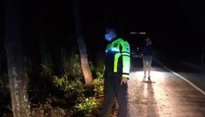 Pulang dari Bromo, 2 ASN Dinkes Kota Malang Tewas Kecelakaan