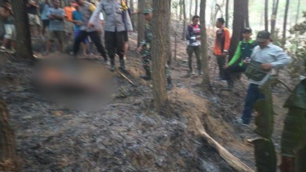 Kebakaran hutan, Berita Trenggalek