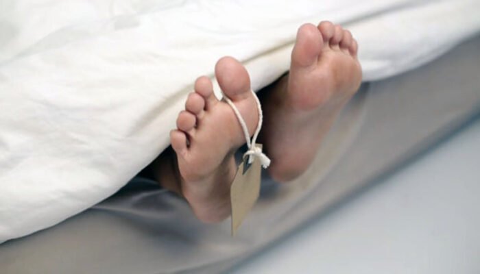 Tawon Vespa Serang 3 Orang di Jombang, 1 Meregang Nyawa