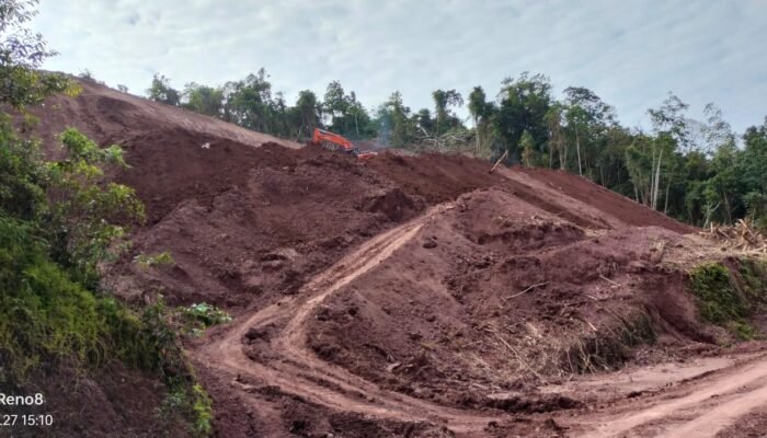 Proyek BPBD Yang di Tender CV Tama Mentari di Duga Mark Up Tanpa Papan Nama, LSM LAKI-PEJUANG 45 Sultra Ancam Lapor di KPK RI