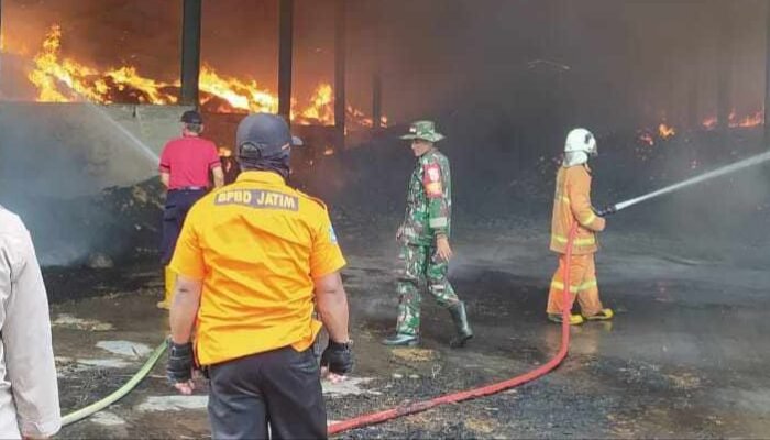 Pabrik Jamur di Jatirejo, Mojokerto Diamuk Si Jago Merah