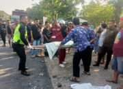 Dua Motor Terlibat Kecelakaan Adu Moncong, 1 Orang Meninggal Dunia