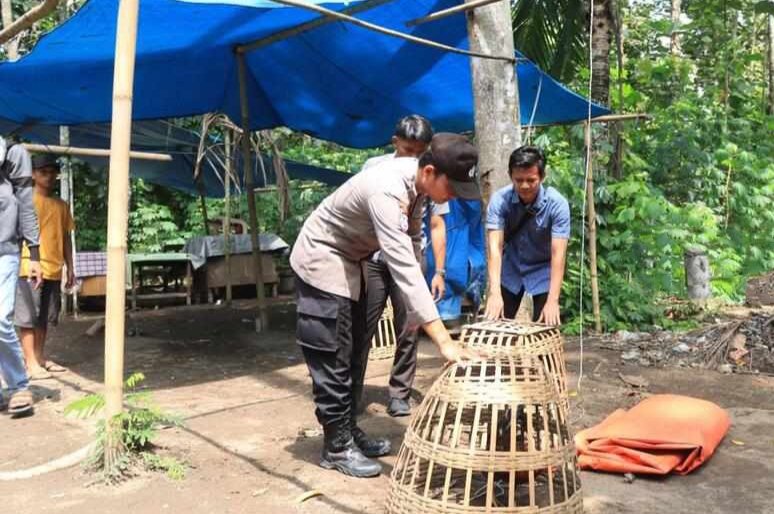 Digerebek polisi, Arena judi sabung ayam