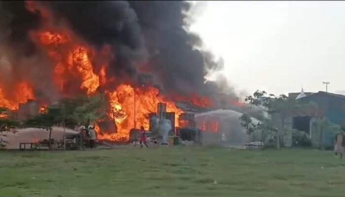 Gudang Palet di Surabaya Kebakaran, Petugas Damkar Berjibaku Memadamkan Api