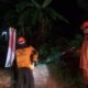 Pohon tumbang, Jalur Trenggalek-Tulungagung