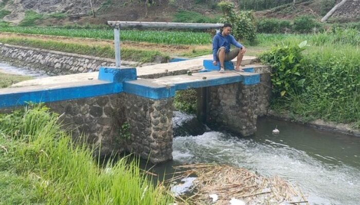 Usai Mandi di Sungai, Kulit Remaja di Jember Tiba-tiba Melepuh