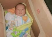 Bayi Dalam Kardus Ditemukan di Teras Rumah Warga Pungging Mojokerto