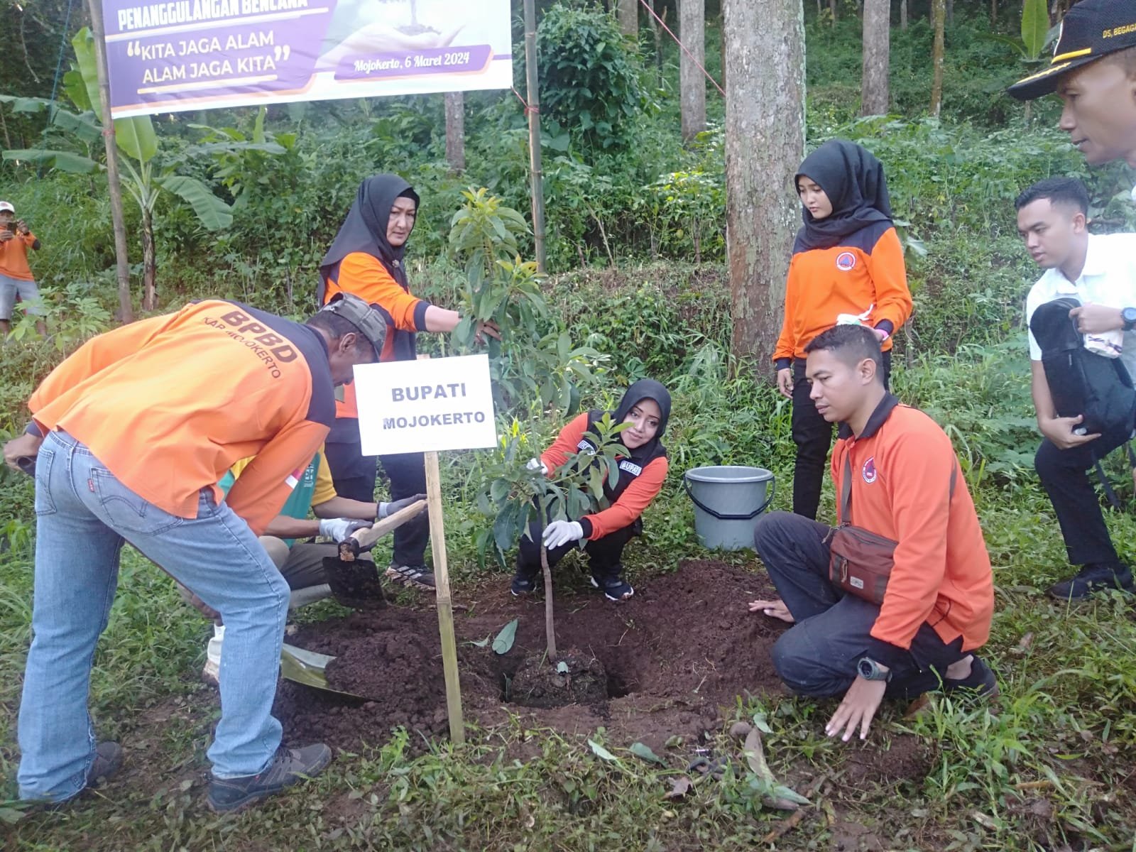 Tanam Pohon,