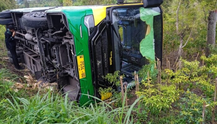 Bus Trans Jatim Terguling di Hutan Dawarblandong Gegara Hindari Iring-iringan Motor dan Mobil