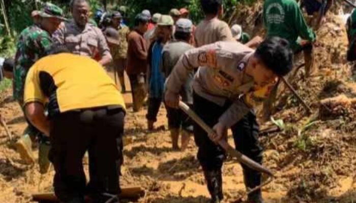 Hujan Deras Sebabkan Tanah Longsor di Trenggalek, Rumah Warga Tertimbun