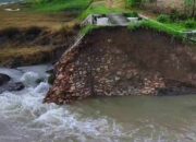 Padi siap panen, Terendam banjir