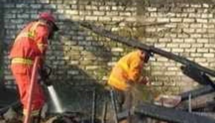 Kandang Sapi di Tuban Ludes Terbakar, Dua Mobil Damkar Dikerahkan