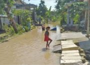 Sungai Bengawan Solo Meluap, Lima Kecamatan di Tuban Terendam Banjir