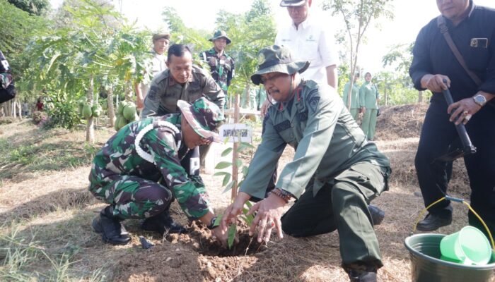 HUT POMAD ke 78, Perhutani dan Denpomdam V/Brawijaya Tanam 500 Bibit Tanaman