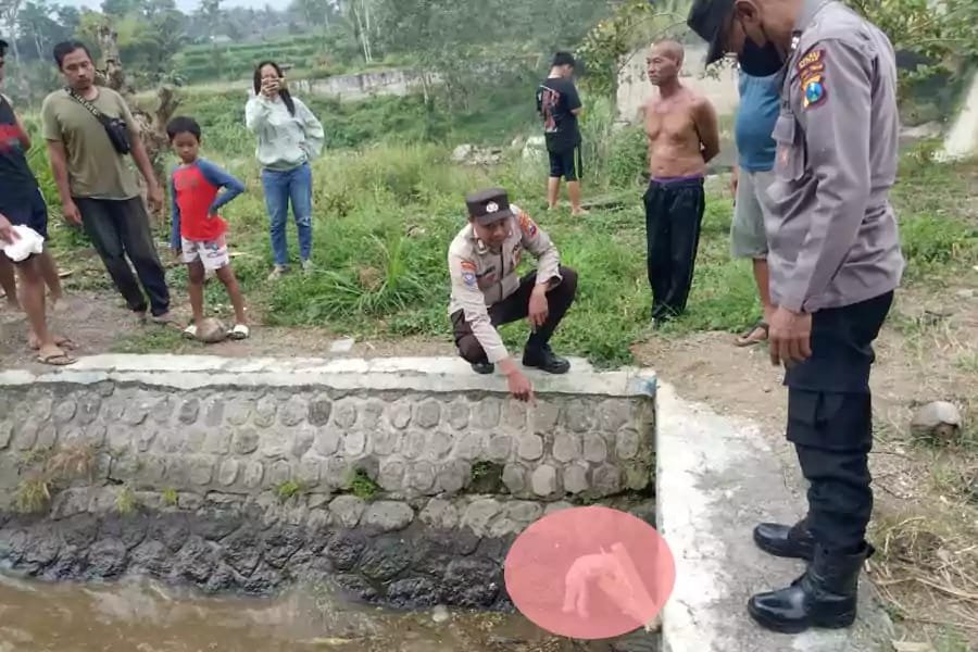 Jasad bayi laki-laki, Tersangkut di aliran sungai