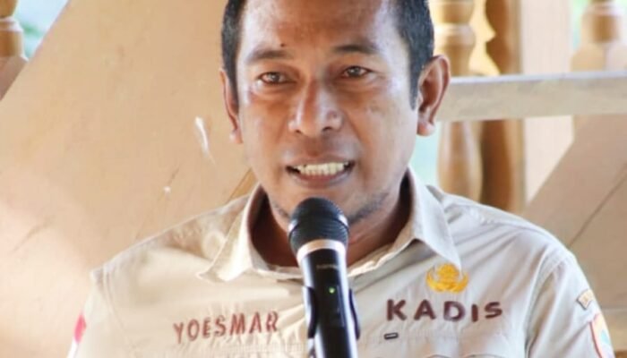 Tingkatkan Kesejahteraan Petani, Dinas Pertanian Halteng Terus Lakukan Berbagai Terobosan