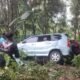Mobil Avanza Terjun ke jurang, Pacet Mojokerto