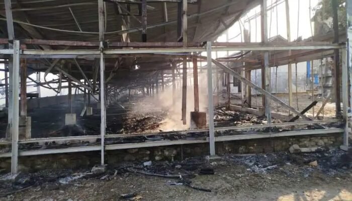 Kebakaran Kandang di Madiun Hanguskan 40 Ribu Ekor Ayam