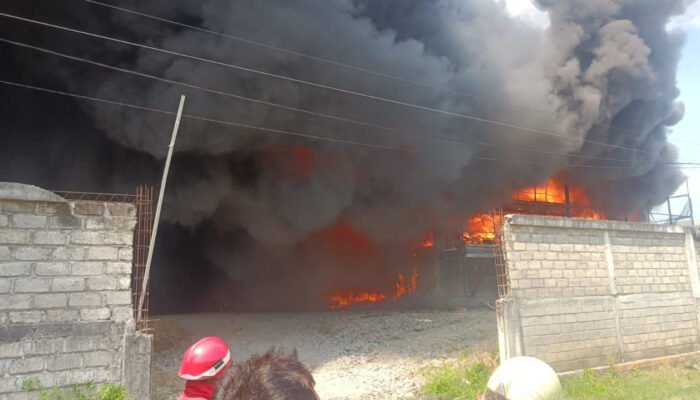 Kandang di Tulungagung Terbakar, 63 Ribu Ekor Ayam Potong Hangus Terpanggang