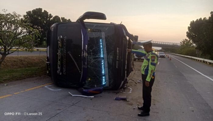 Bus Pariwisata Terguling di Tol Jomo, Satu Orang Tewas