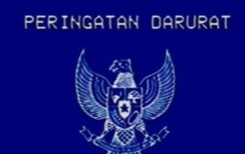 Peringatan Darurat, Garuda warna biru