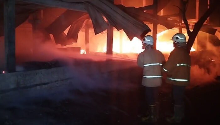 Kandang di Dlanggu Mojokerto Terbakar, 9.000 Ayam Ikut Terpanggang