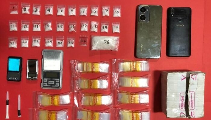 Edarkan Sabu dan Pil Koplo, Dua Pria di Lamongan Diringkus Polisi