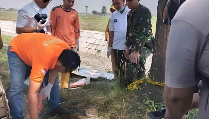 Penemuan Mayat Bayi Terbungkus Plastik Gemparkan Warga Jombang