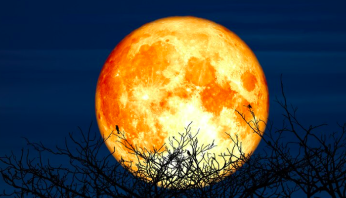 Supermoon Terjadi Hari Ini, Fenomena Langka yang Menakjubkan