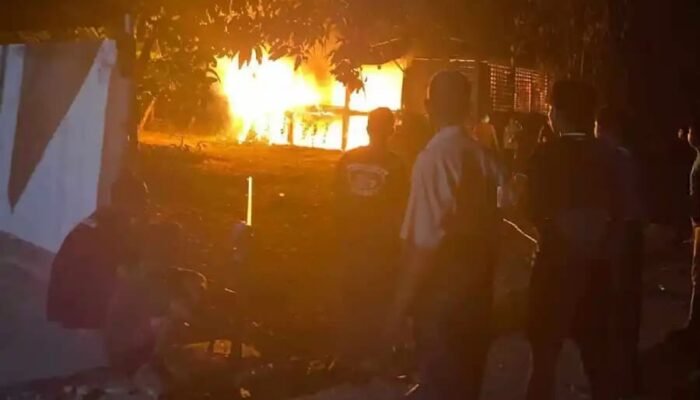 Diduga Ulah ODGJ, Kandang Ternak di Gresik Ludes Terbakar