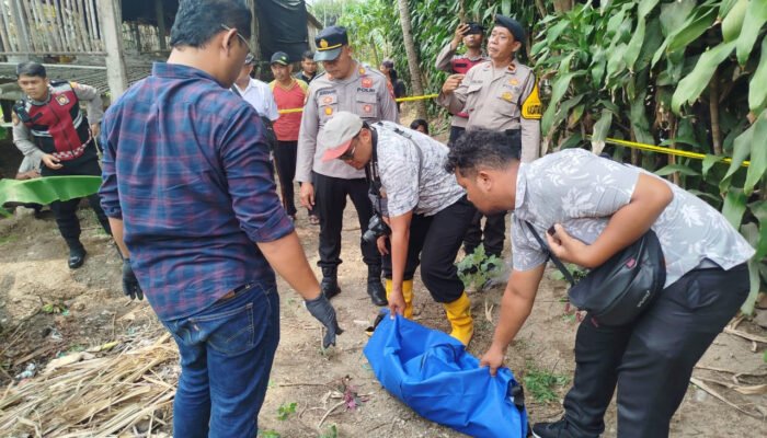 Geger! Jasad Bayi Laki-laki Dibuang di Pekarangan Rumah Warga Blitar