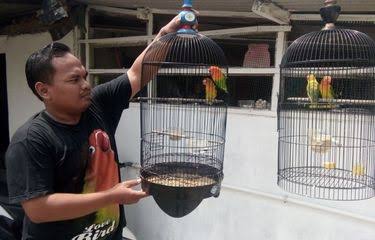 Menjemur Burung,
